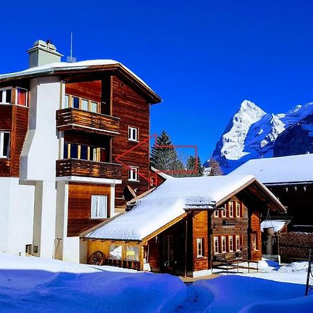 Chalet Anemone 2 Apartment Mürren Екстериор снимка