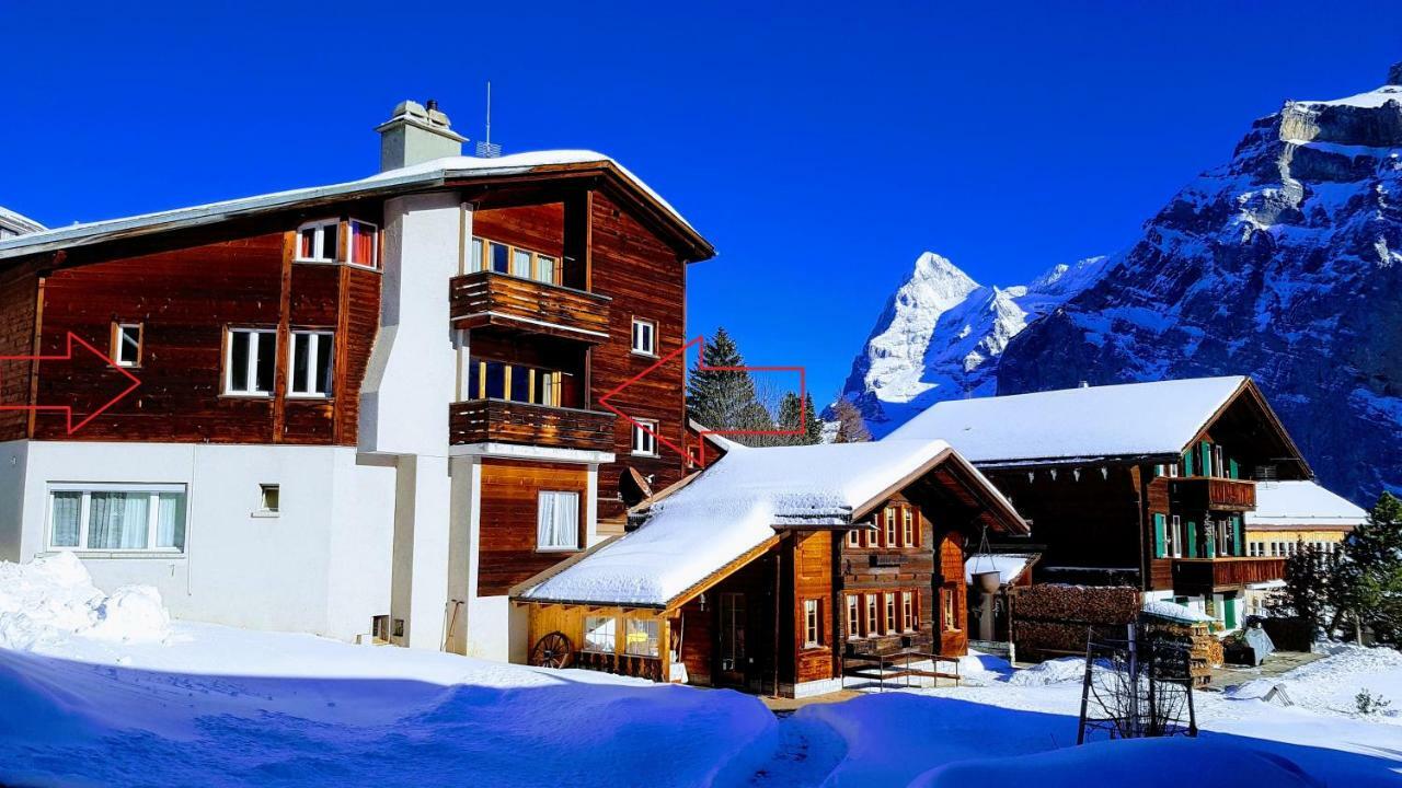 Chalet Anemone 2 Apartment Mürren Екстериор снимка